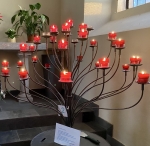 IMG_8710.jpeg